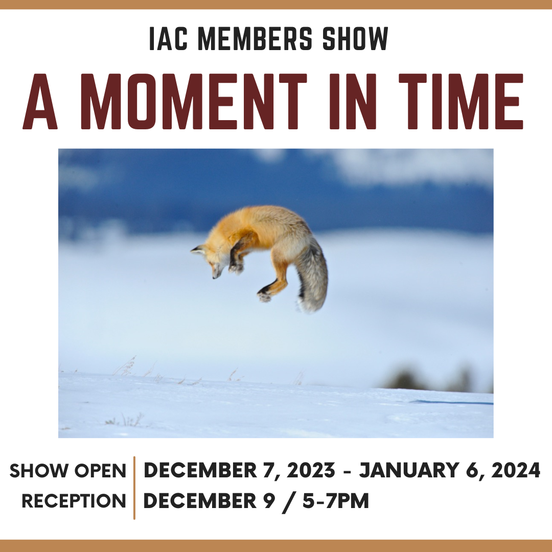 DEC 2023 / IAC Members Exhibition - A Moment in Time
