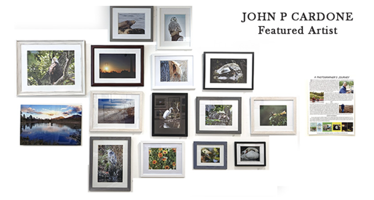 APR 2023 / Featured Artist: John Cardone