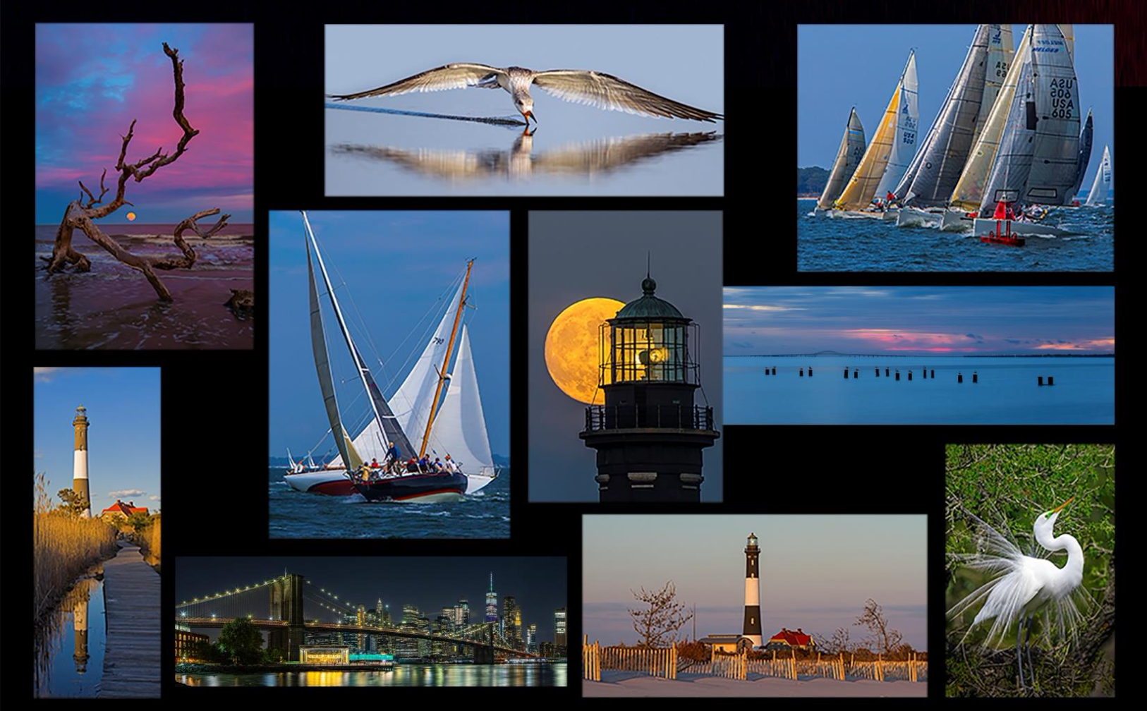 NOV-DEC 2024 / Featured Artist: Rich LaBella